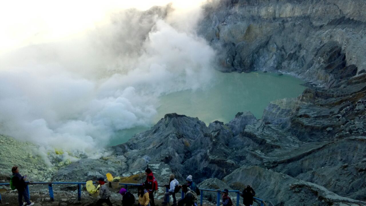 banyuwangi ijen blue sea turtle coffee banyuwangi ijen blue sea turtle coffee